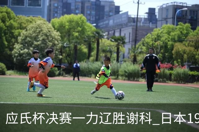 应氏杯决赛一力辽胜谢科 日本19年后重夺世冠